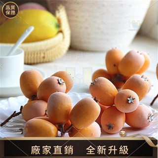 【品質模擬館】新款模擬水果多頭枇杷果模型假水果蔬攝影造景道具水果店櫥窗擺設 模擬食品 模擬果蔬圖中食物都是模擬商品！！！