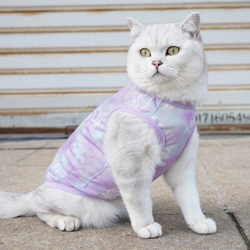 新款時尚夏季貓衣服防掉毛藍貓布偶德文可愛寵物背心薄款 PL