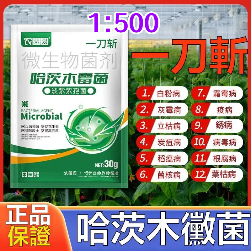 正品 進口 一刀斬 哈茨木黴菌 微生物菌劑 淡紫紫孢菌 黃瓜 草莓 水果 蔬菜 豆類 水稻 花生 肥料