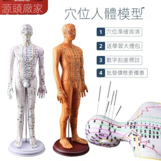 人體模型人經絡穴位中醫全身十二銅人模特圖練習小皮人可紮針 人體針灸模型 全身穴位模型經絡模型推拿按摩中醫人體針灸模型