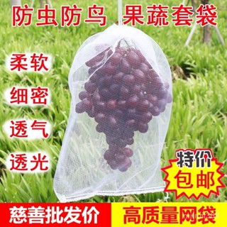 🌼桃園出貨🌼葡萄套袋套袋防蟲防鳥網袋瓜果蔬菜防蟲袋塑膠白色網袋浸種袋 水果套袋 防蟲網 無花果套袋 防鳥 防鳥網