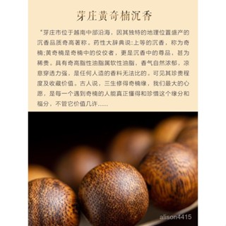 禪道院 唸佛 計數 居士 臺灣平價 手串 佛珠 唸珠 串珠 手鍊 唸佛計數 越南芽莊天然黃奇楠沉香手串2.0男士野生棊楠