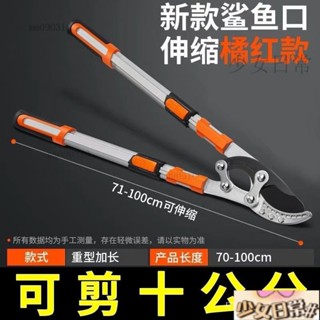 熱銷 修剪樹枝園林果樹剪刀修枝剪高粗枝剪大力剪省力伸縮園藝工具剪子 AK2E