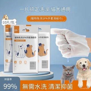 臺灣當天寄出 寵物免洗清潔手套 寵物清潔專用手套 貓咪狗狗專用洗澡手套 幹洗神器 擦身去汙除臭抑菌