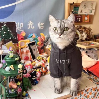 🐱新品寵物衣服🐶寵物貓貓衣服可愛加厚春秋裝防掉毛保暖反光藍貓網紅連帽薄絨衛衣