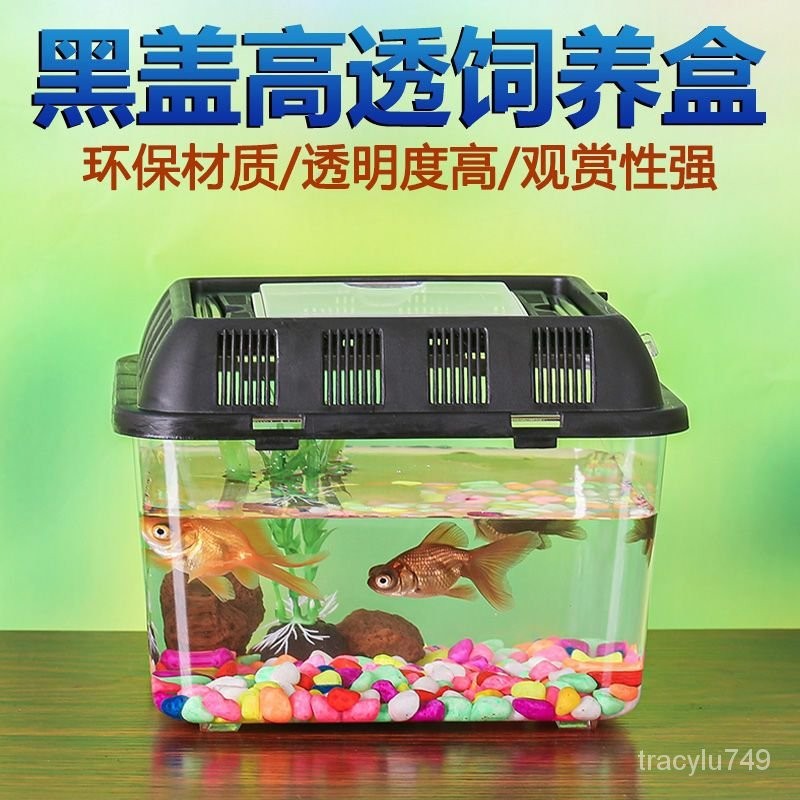 黑色大中號飼養盒 手提寵物盒 寵物箱 魚缸 寵物盒 飼育箱 寵物盒 水族箱 昆蟲箱 觀察盒 手提採集箱