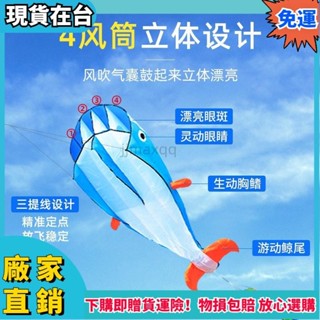 ✨全舘免運✨3d立體軟體風箏 無骨架鯨魚花枝風箏 易攜帶成人八爪魚網紅無骨風箏大型特大號