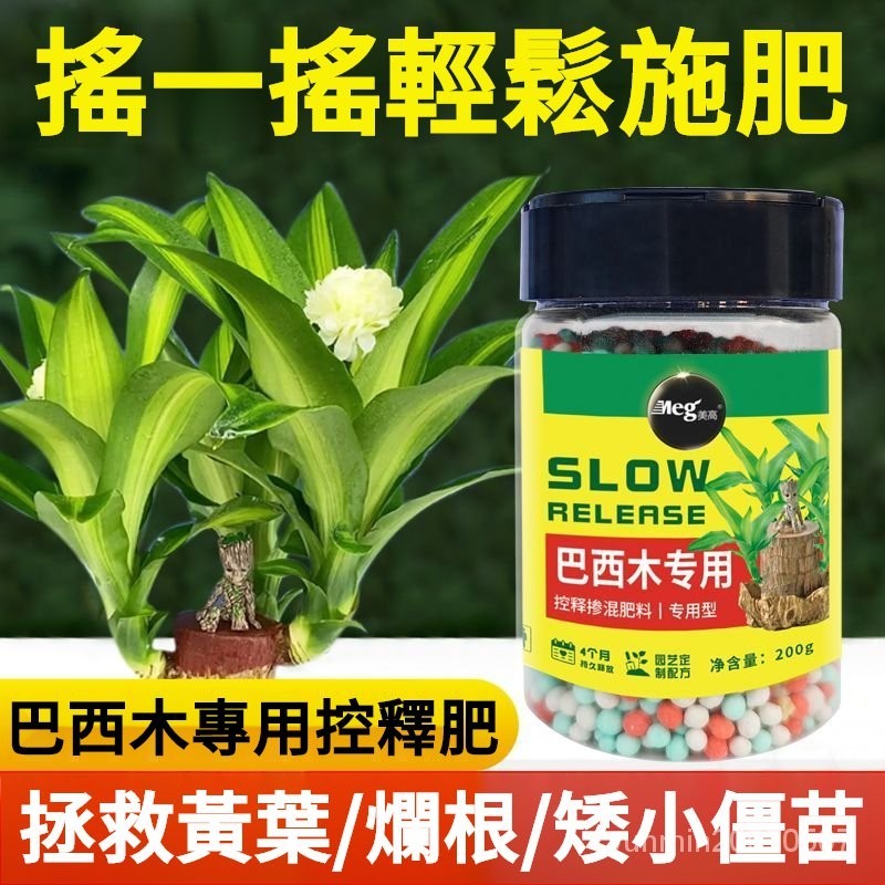 【高雄出貨】巴西木 專用型緩釋肥 顆粒肥 花卉盆栽 巴西木水培植物 幸運樹 倖運木 土培氮磷鉀顆粒肥