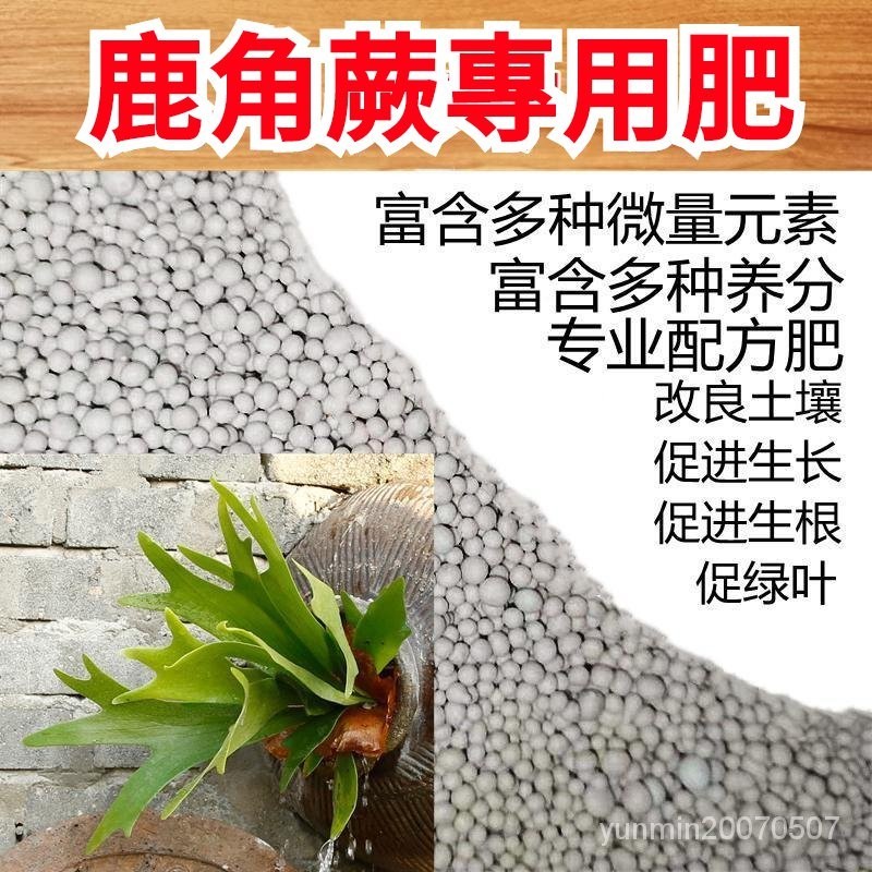 【臺灣出貨】蕨類肥 鹿角蕨肥料 桫欏肥 料鐵綫蕨肥 金絲蕨營養液 狗毛蕨緩釋 鹿角蕨 雷電鹿角蕨 施肥