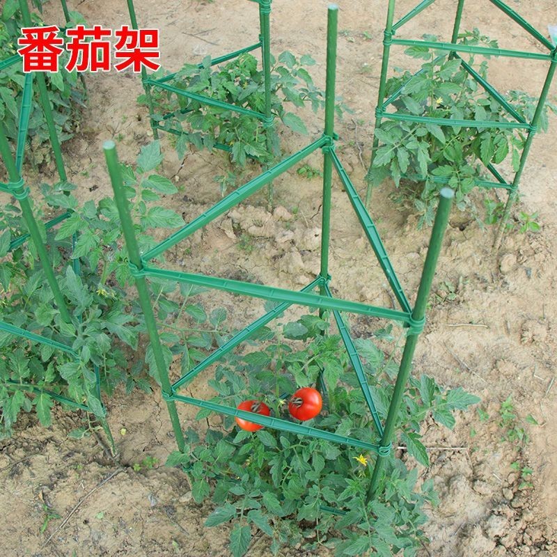 西紅柿架子番茄支撐架黃瓜爬藤架火龍果支撐架子園藝盆栽瓜果架子