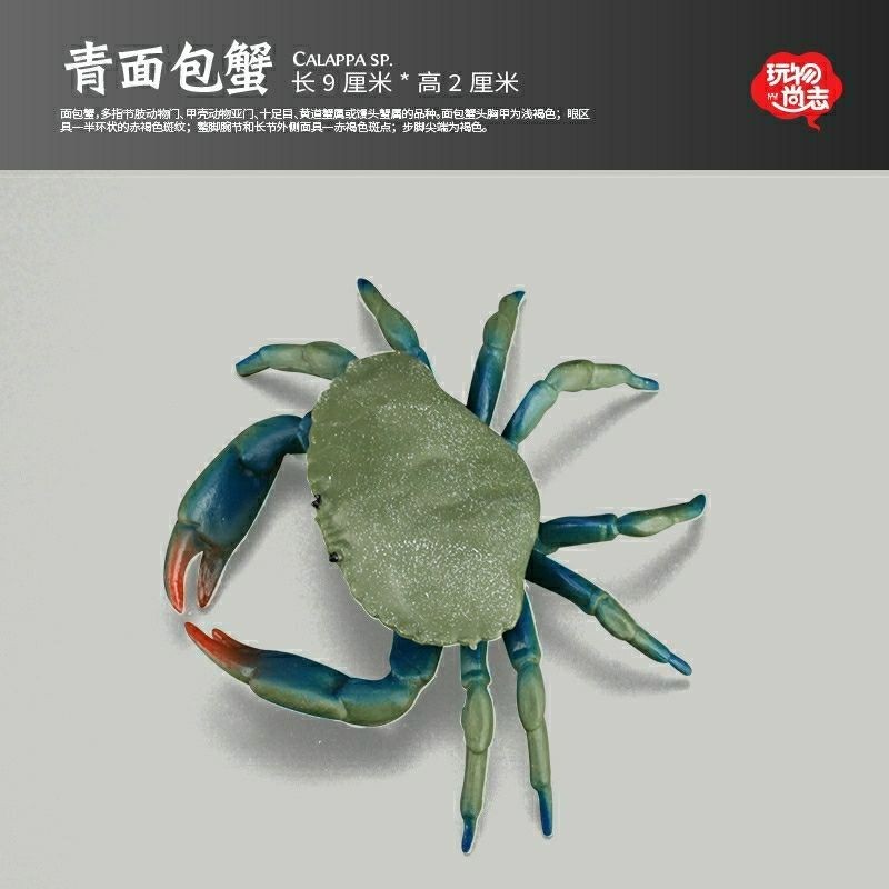 台灣現貨🍆仿真 麵包蟹 麵包蟹模型 仿真海洋動物玩具 螃蟹 兒童認知 動物模型 兒童玩具E101