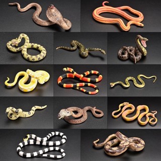兒童仿真玩具 兒童禮物 爬行動物 蛇 蟒蛇 眼鏡蛇 響尾蛇 毒蛇 蚺 仿真 動物玩具 擺件 模型 模型玩具