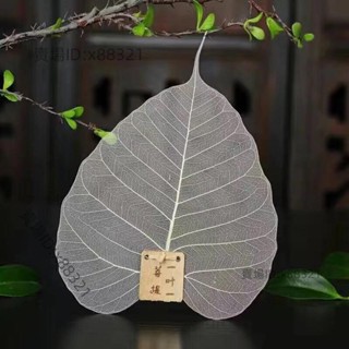 遇見 菩提葉茶漏茶道配件 茶濾創意個性天然樹葉茶具 支持訂製