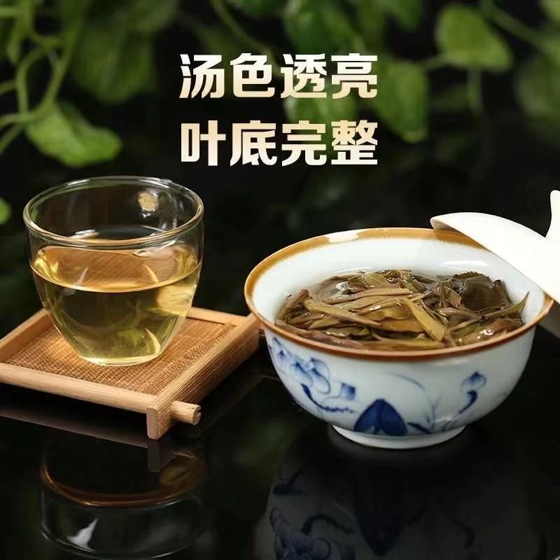 班章普洱茶雲南冰島雲南春茶茶葉大樹散茶廠傢普洱茶昔歸生茶老樹