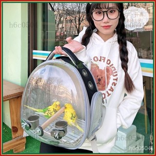💕💕鳥包玄風鸚鵡外出雙肩包倉鼠包透明鳥籠小貓荷蘭豬八哥小兔子出行 鸚鵡外出包 鸚鵡雙肩揹包 透明透氣鸚鵡揹包 鸚鵡寵物包