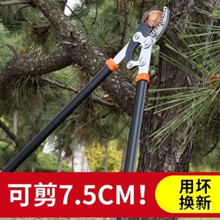 省力強力粗枝剪樹剪子果樹剪刀新款園藝剪刀伸縮大力剪園林大剪刀【臺灣發貨】