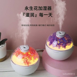🎁新品特惠🎁永生花桌麵靜音空氣加濕器USB夜燈傢用臥室辦公室空調房補水保濕