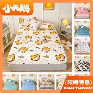 【小天鵝】可愛親膚棉床包 小清新 北歐 簡約 卡通 居家裝飾 床上用品 防蟎抗菌 吸汗透氣 貼合肌膚 單人 雙人 加大