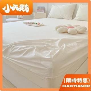 【小天鵝】奶油白簡約素色床包 水洗棉床包 學生宿舍床包枕頭套 單人/加大單人/雙人/加大雙人床包 防塵床罩 超柔裸睡床