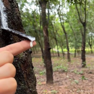 【倒數計時🔥蝦皮最低價】天然乳膠顆粒填充物坐墊枕頭枕芯抱枕懶人沙髮顆粒大塊乳膠邊角料