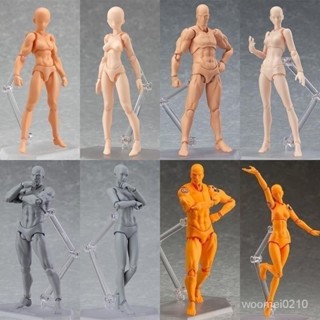🔥免運下殺價💥網紅潮玩男女素體 繪畵素描二次元美術漫畵fihma豪華可動手辦模型漫畫 人體模型 寫生人偶擺件關節可動人體
