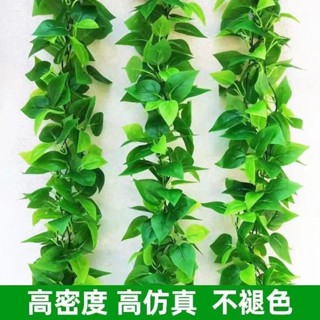🔥福寶優選模擬藤條綠蘿葉塑膠假花裝飾室內綠藤蔓植物假樹葉壁掛遮擋綠葉子
