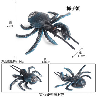 🥂模擬動物🥂兒童認知模擬實心海洋動物模型玩具新品椰子蟹螃蟹塑膠擺件手辦
