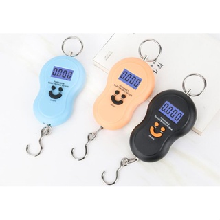 50Kg /10g LCD Portable Hanging Scale with BackLight / Pocket