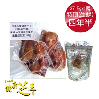 百年永續健康芝王 (四年半) 特頂大球菇牛樟芝/菇 生鮮品 37.5g/1兩【2012415】