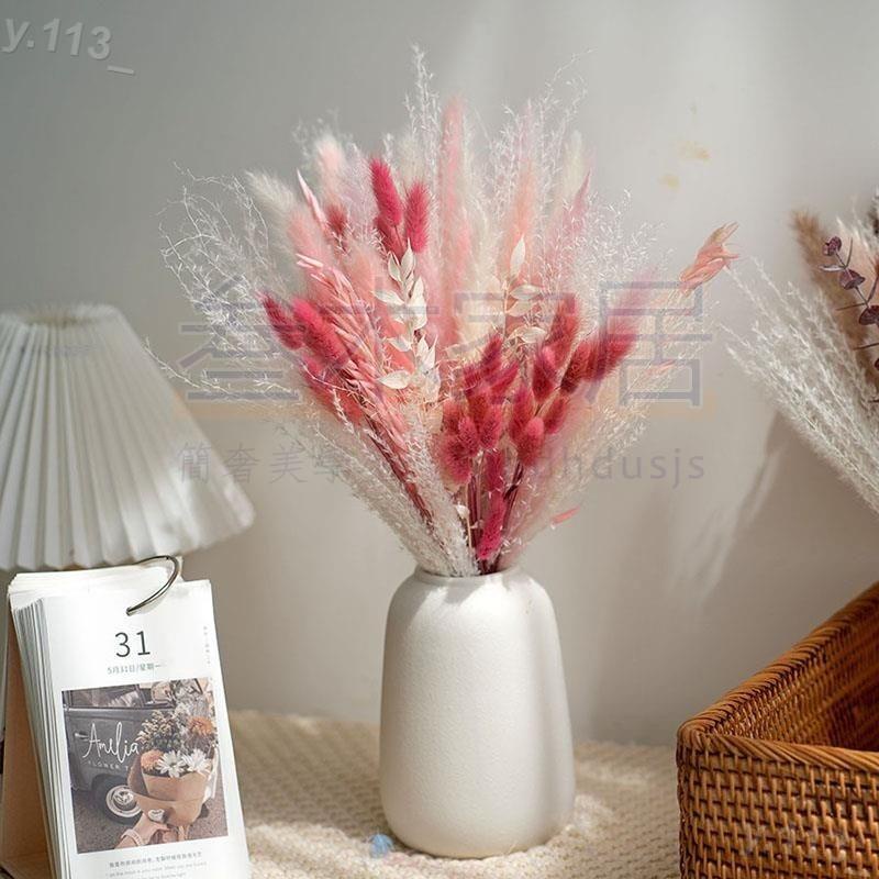 乾燥花系列 蓬萊松兔尾草永生花干花花束客廳家居裝飾擺設件 ins網紅攝影道具