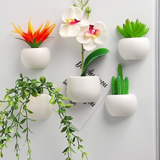 模擬多肉盆栽植物 冰箱貼 模擬冰箱貼 冰箱貼 3D冰箱貼 立體冰箱貼 冰箱貼裝飾 亞剋力冰箱貼 磁力貼 綠植冰箱貼