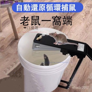 【優選】蹺蹺闆捕鼠器 可折疊 滅鼠器 抓老鼠 陷阱老鼠籠 機關靈敏 連續捕鼠 一窩端 耗子籠 逮耗子 LJCL