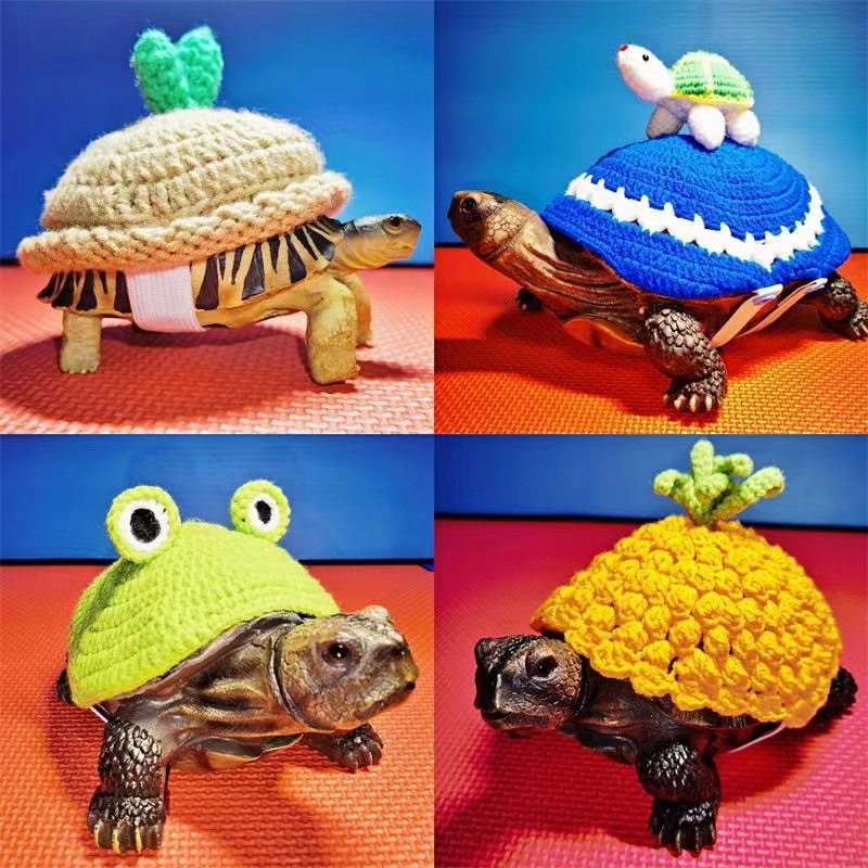 烏龜衣服寵物用品訂製保暖冬眠可愛陸龜水龜豹龜巴西龜草龜裝飾