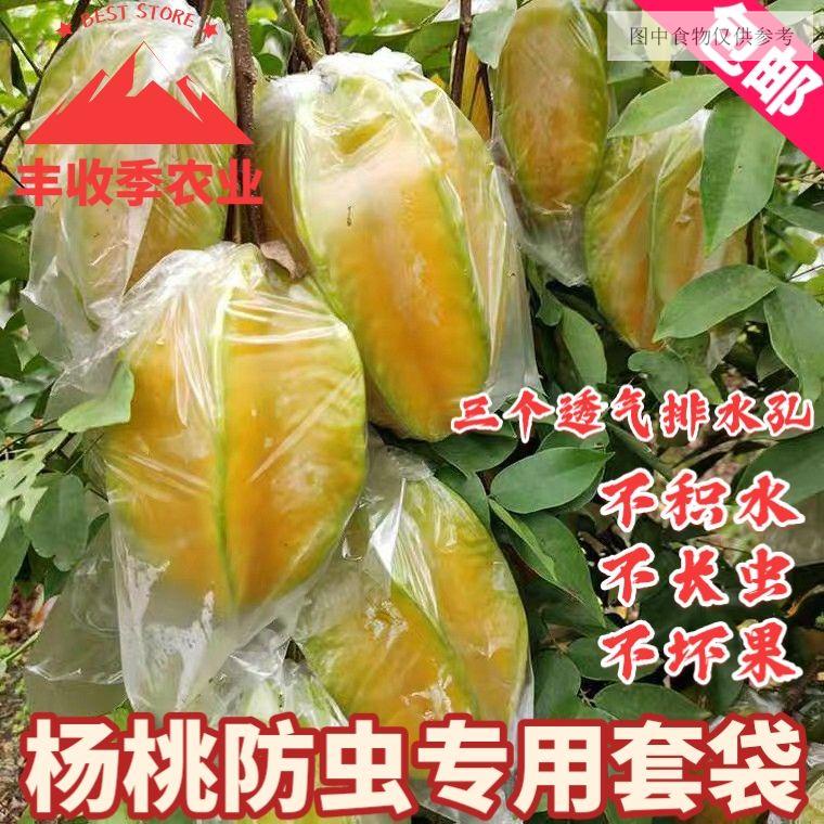 楊桃套袋防蟲專用袋水果套袋促生長透明保護薄膜袋芭樂水果通用 農用