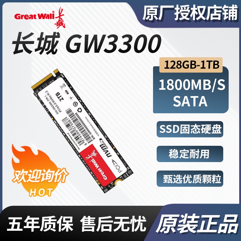 適用長城GW3300係列 128G/256G/512GB/1TB 固態硬盤SSD M.2接口