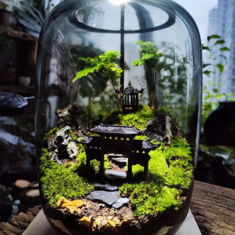 生態缸微景觀森林懶人辦公室盆栽宿舍桌面生態瓶真植物苔蘚微景觀