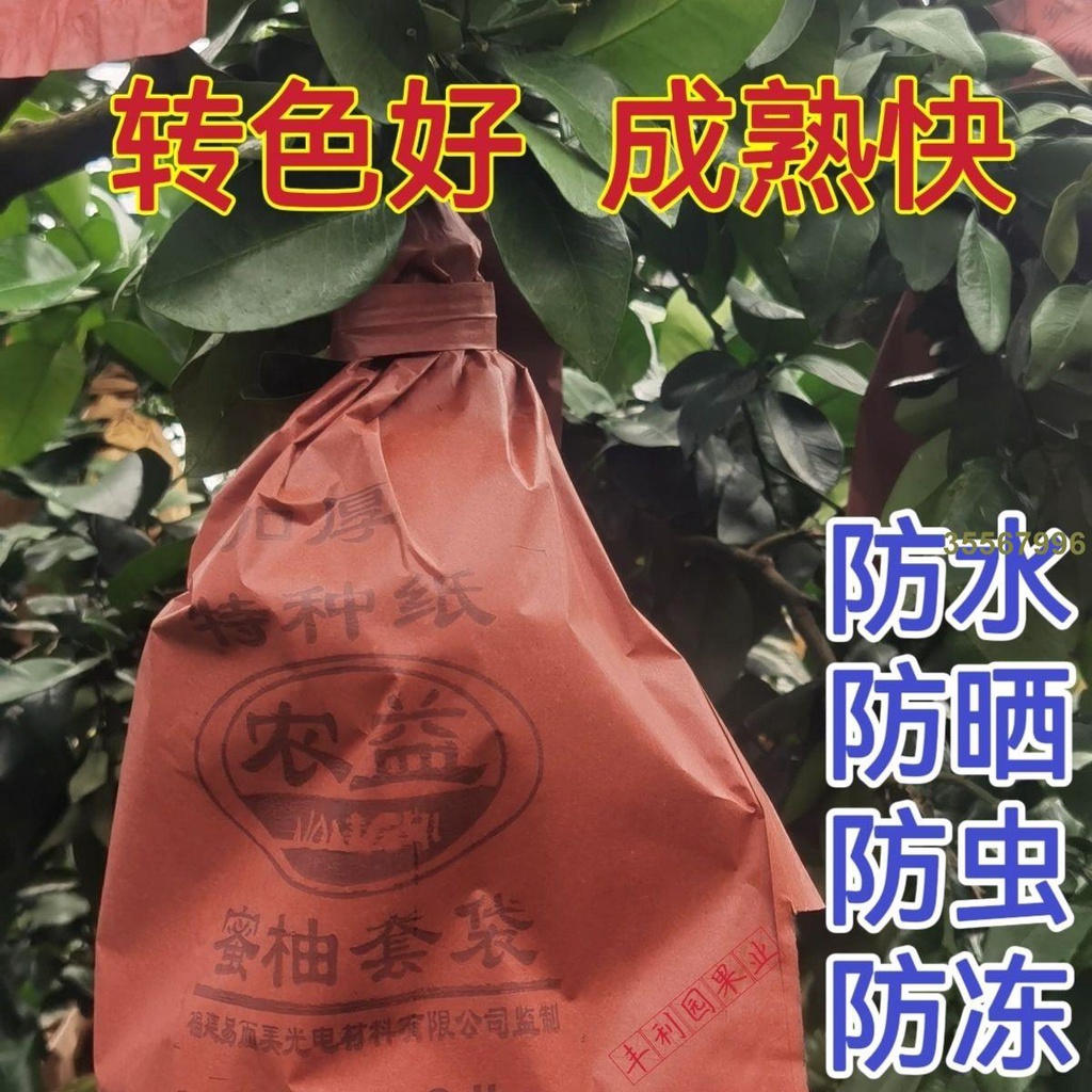 [臺妹ahJa] 柚子套袋水果蜜柚專用袋果樹單層雙層三層大中號防蟲防鳥紅色紙袋