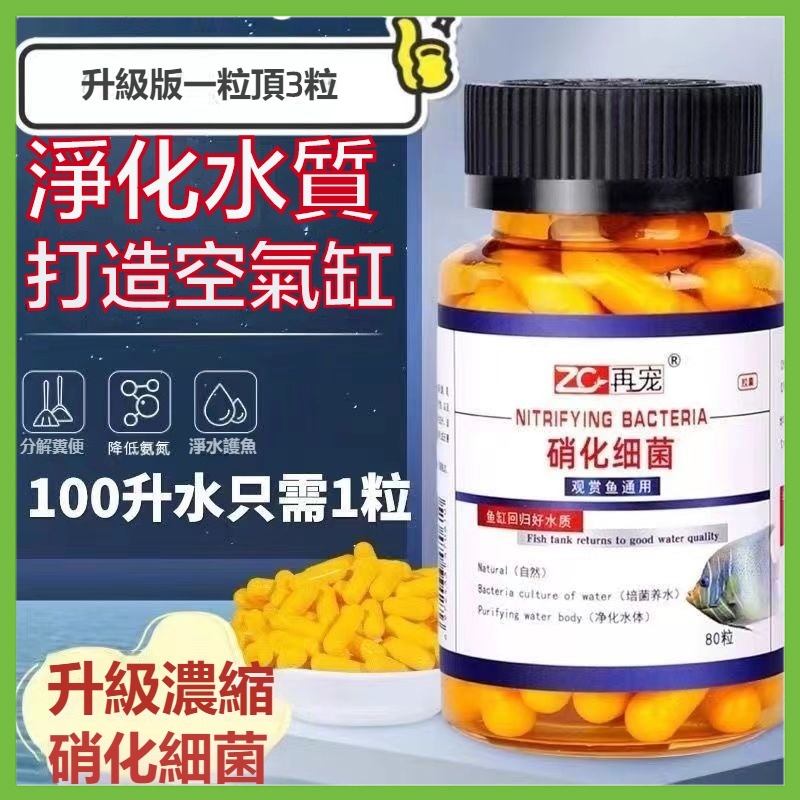 【台灣出貨】升級版 硝化細菌膠囊 淨化水質 分解糞便 魚缸淨水劑 觀賞魚通用 硝化細菌 水族殺菌水質穩定劑 水族用品