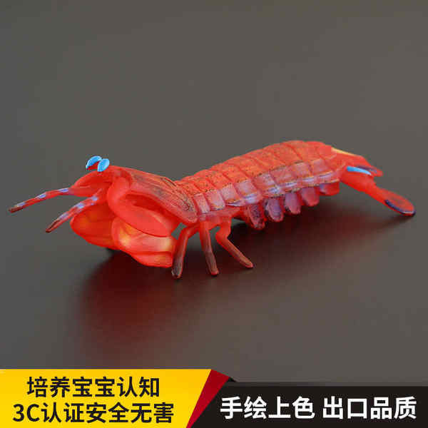 兒童實心仿真海洋動物玩具模型雀尾螳螂蝦蝦姑節肢動物認知禮品擺
