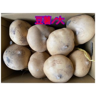 ［福氣南北貨］營業用 豆薯/25公斤（現貨）
