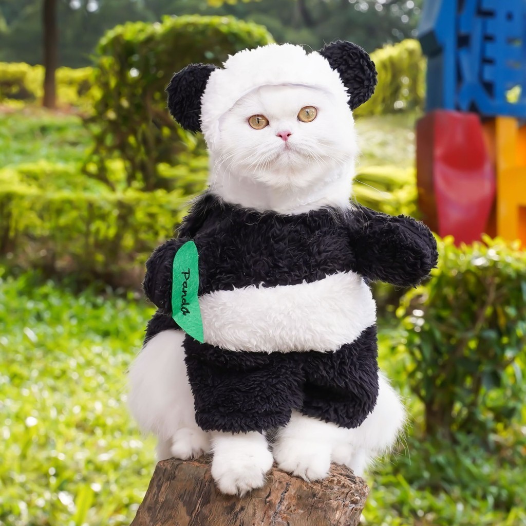 [CWYF]寵物服飾熊貓站立變身裝搞怪搞笑泰迪比熊狗狗貓咪衣服