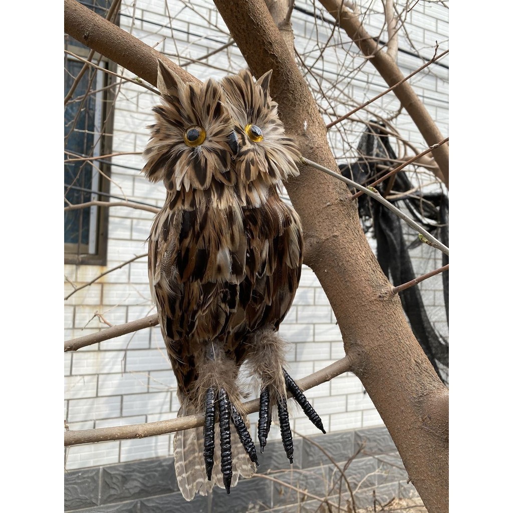 好品質仿真羽毛展翅貓頭鷹擺件果園魚塘驅鳥道具園林裝飾工藝品動物模型