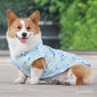 高品質 寵物衣服 毛孩服飾 寵它泰迪博美小狗雨衣薄款寵物兩腳雨衣柯基小型犬寵物衣服