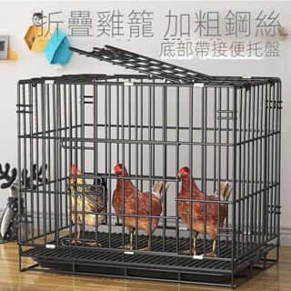 🌟現貨直銷 開立發票🌟雞籠雞籠子家用小號大號特大號雞舍自動清糞鴨子鵝家禽折疊養殖籠