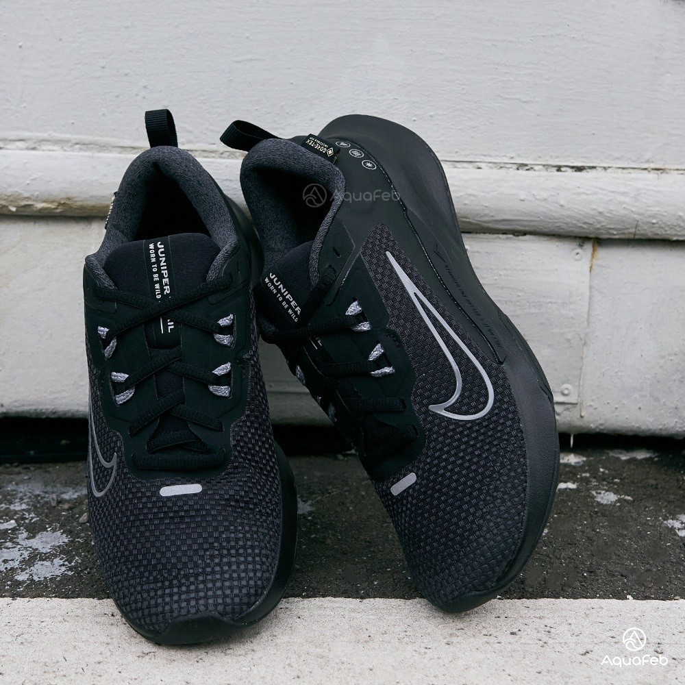 Nike W Juniper Trail 2 GTX 女 黑魂 防水 慢跑 訓練 運動 慢跑鞋 FB2065-001