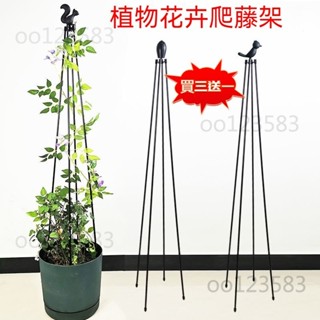 爬藤架園藝四角塔型花架爬藤架鐵線蓮戶外攀爬架植物花盆架室外爬藤支架 買三送一 爬藤支架 植物支架 盆栽支架 藤架 爬藤