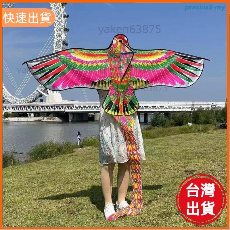 高CP值📣大型成人風箏大型巨型風箏戶外活動三維風箏鳥