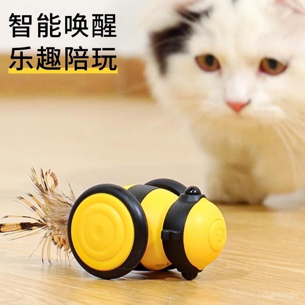 ⭐損壞包賠 免運⭐小蜜蜂貓咪玩具電動逗貓棒自動貓玩具自嗨逗貓神器寵物用品爆款