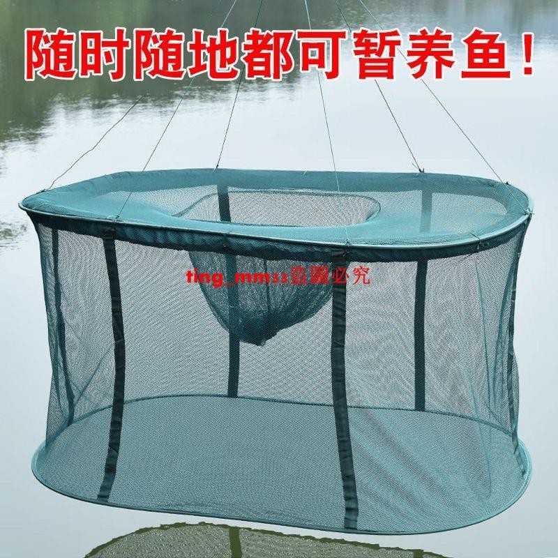 養魚網箱小型暫養魚小網箱魚籠養魚螃蟹龍蝦網籠吊籠養殖專用折疊