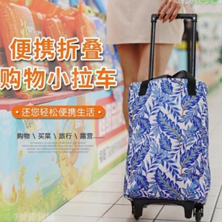 臺灣熱銷🐾可伸縮買菜小拉車 超市手拉拖車 購物車 拉桿輪子 附輪子超大摺疊便攜保溫拉桿購物袋 買菜拉桿車 買菜推車